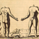 Illustration for article titled The Most Grotesque Humanoid Monsters of the Early Modern Age